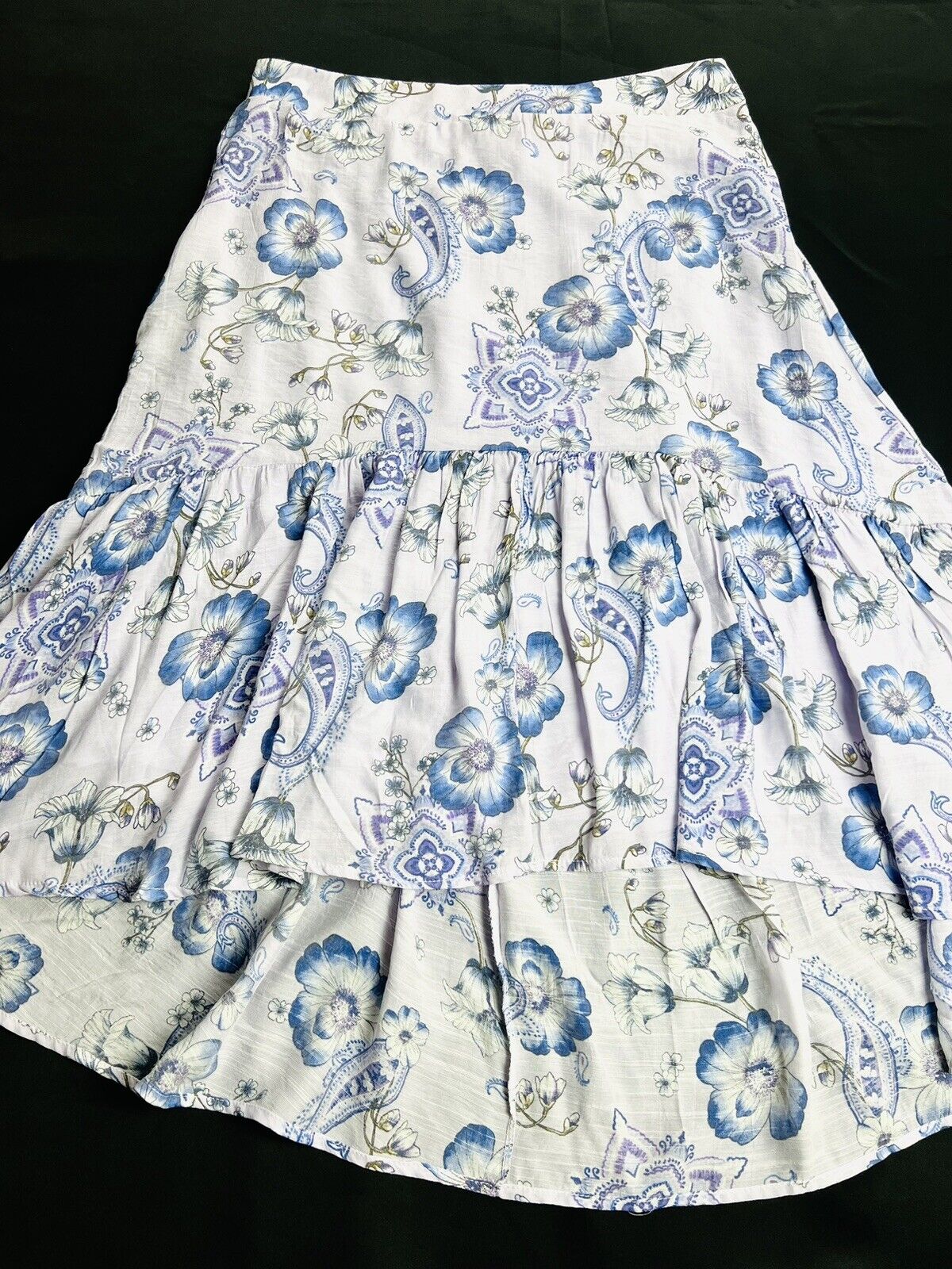 Mlle Gabrielle Skirt Sz XL Blue Floral Purple Paisley